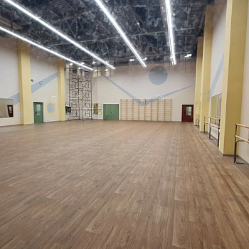 ГБОУ Лицей №101, г. Санкт-Петербург